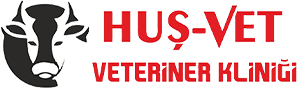 Huş Veteriner Kliniği